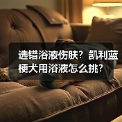 选错浴液伤肤？凯利蓝梗犬用浴液怎么挑？（图4）
