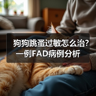 狗狗跳蚤过敏怎么治？一例FAD病例分析（图2）