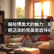 揭秘博美犬的魅力：聪明活泼的完美家庭伴侣（图2）