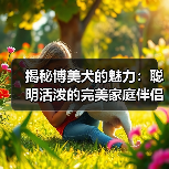 揭秘博美犬的魅力：聪明活泼的完美家庭伴侣
