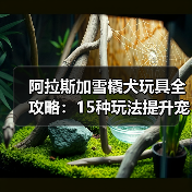 阿拉斯加雪橇犬玩具全攻略：15种玩法提升宠物生活品质（图2）