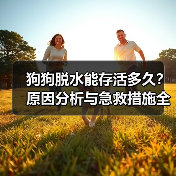 狗狗脱水能存活多久？原因分析与急救措施全解析（图4）