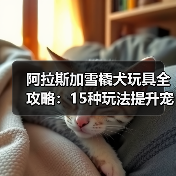 阿拉斯加雪橇犬玩具全攻略：15种玩法提升宠物生活品质（图4）