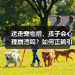 送走宠物后，孩子会心理崩溃吗？如何正确引导（图2）