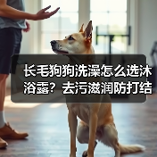 长毛狗狗洗澡怎么选沐浴露？去污滋润防打结全攻略（图2）