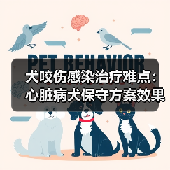 犬咬伤感染治疗难点：心脏病犬保守方案效果分析（图3）