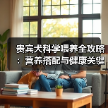 贵宾犬科学喂养全攻略：营养搭配与健康关键（图2）