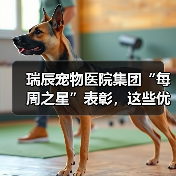 瑞辰宠物医院集团“每周之星”表彰，这些优秀员工用行动诠释荣誉（图2）