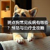 斑点狗常见疾病有哪些？预防与治疗全攻略（图2）