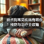 斑点狗常见疾病有哪些？预防与治疗全攻略（图4）