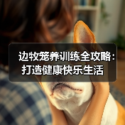 边牧笼养训练全攻略：打造健康快乐生活（图3）