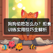 狗狗偷吃怎么办？拒食训练实用技巧全解析（图3）