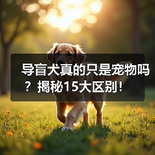 导盲犬真的只是宠物吗？揭秘15大区别！（图3）