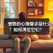 宠物的心理需求是什么？如何满足它们？
