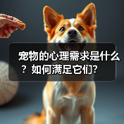 宠物的心理需求是什么？如何满足它们？（图3）