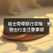 哈士奇带旅行攻略：宠物出行全注意事项（图3）
