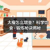太瘦怎么增重？科学饮食+锻炼秘诀揭秘（图2）