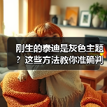 刚生的泰迪是灰色主题？这些方法教你准确判断（图3）