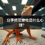 分手后买宠物是什么心理？（图3）