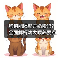狗狗能喝配方奶粉吗？全面解析幼犬喂养要点