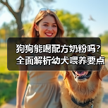狗狗能喝配方奶粉吗？全面解析幼犬喂养要点（图2）