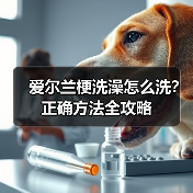 爱尔兰梗洗澡怎么洗？正确方法全攻略（图2）