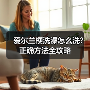 爱尔兰梗洗澡怎么洗？正确方法全攻略（图3）