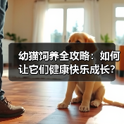 幼猫饲养全攻略：如何让它们健康快乐成长？
