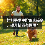 外科手术中阶班实操多，提升技能有保障？