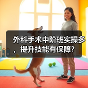 外科手术中阶班实操多，提升技能有保障？（图2）