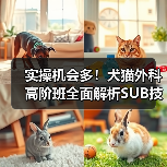 实操机会多！犬猫外科高阶班全面解析SUB技术（图2）