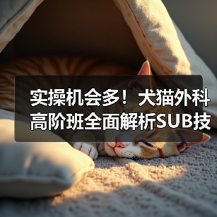 实操机会多！犬猫外科高阶班全面解析SUB技术