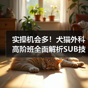 实操机会多！犬猫外科高阶班全面解析SUB技术（图3）