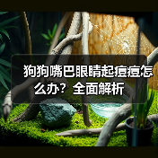 狗狗嘴巴眼睛起痘痘怎么办？全面解析