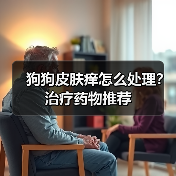 狗狗皮肤痒怎么处理？治疗药物推荐