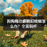 狗狗嘴巴眼睛起痘痘怎么办？全面解析（图3）