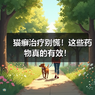 猫癣治疗别慌！这些药物真的有效！（图2）