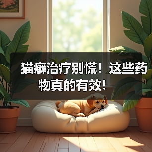 猫癣治疗别慌！这些药物真的有效！（图3）