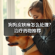 狗狗皮肤痒怎么处理？治疗药物推荐（图3）