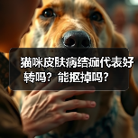 猫咪皮肤病结痂代表好转吗？能抠掉吗？