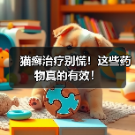 猫癣治疗别慌！这些药物真的有效！（图4）