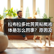 拉布拉多吐黄黄粘稠液体是怎么回事？原因及处理方法（图2）