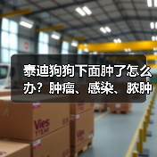 泰迪狗狗下面肿了怎么办？肿瘤、感染、脓肿一网打尽的处理方法（图3）