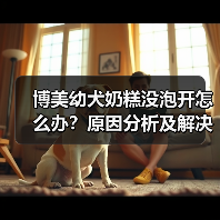 博美幼犬奶糕没泡开怎么办？原因分析及解决方法（图3）