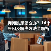 狗狗乱尿怎么办？14个原因及解决方法全解析（图3）