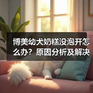 博美幼犬奶糕没泡开怎么办？原因分析及解决方法（图4）