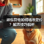 脓包异物如何精准定位？超声技巧解析（图4）