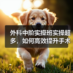 外科中阶实操班实操超多，如何高效提升手术技能？