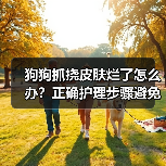 狗狗抓挠皮肤烂了怎么办？正确护理步骤避免感染（图2）