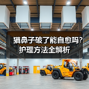 猫鼻子破了能自愈吗？护理方法全解析（图3）